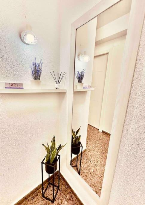 Citadella Apartment Sagunto Exterior foto